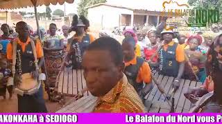 Balafon de Yaya Miteguekaha