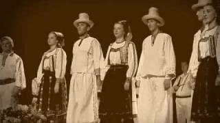 Danțuri de la Stâna / Dances from Stana village