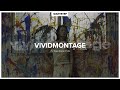 VIVIDMONTAGE : For Every Scene Of Life