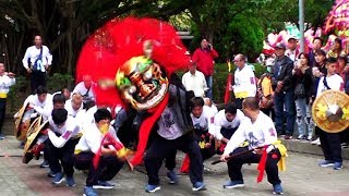 2019中和土地公文化祭-台南歸仁看東弘農宮.金獅陣市定無形文化資產 ! Taiwan Temple Fair Folk Art