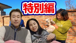 来福(ライフという犬)のその後について　[通常はメンバー限定で投稿している夫婦の雑談動画です]