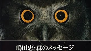 〜嶋田忠・森のメッセージ〜 カムイミンタラ [北海道・阿寒]   音楽:平沢進