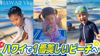 【ハワイ旅行】超絶綺麗なビーチでゆったり🏖家族旅行にオススメな観光スポットを巡りました🦍 | HAWAII Vlog #2