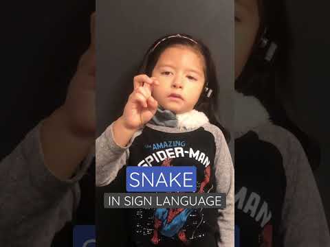 SNAKE In ASL - Learn American Sign Language - YouTube