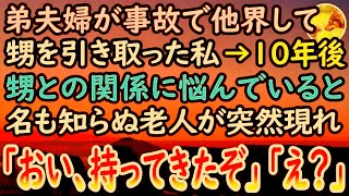 【感動する話】両親が他界し弟と暮らしていた私。ある日弟夫婦が突然の事故で亡くなり残された甥を引き取った。10年後→高校生になった甥の元へ見知らぬ老人が現れて…【泣ける話】