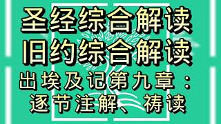 圣经综合解读#出埃及记第9章:逐节注解、祷读#聖經綜合解讀#出埃及記第9章:逐節注解、禱讀