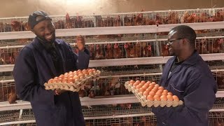 I Make Kshs 3 Million From Poultry Farming !! Kenyan American Reveal..