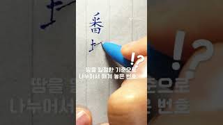 한자쓰기연습   번지   차례번(番) 땅지(地)#shorts