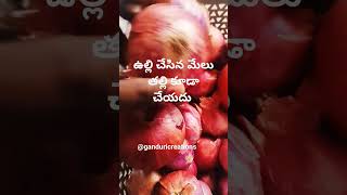 ఉల్లి చేసిన మేలు తల్లి కూడా చేయదు నిజమా #viral #manthenasatyanarayanraju