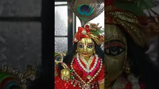 radhe krishna🙏#harekrishna #radha_krishna #viral #radhe@bhaktikathagitamataji 2024#mayapur #short