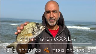 דייג - סרגוסים XXXL הגיעו לחופים | ים מלוכלך מאוד 2024.