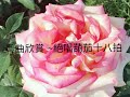 粵曲欣賞 ~絕唱葫茄十八拍