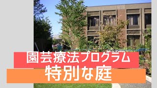 園芸療法プログラム　アメリカの園芸療法の特別な庭　HTprogram; the special garden for HT