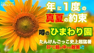 たんけんごっこ『熊本宇城編』/噂のスポット