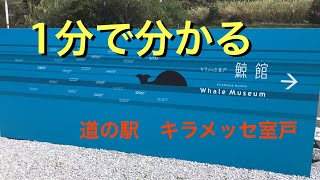 道の駅　キラメッセ室戸　車中泊、野宿スポット　#8