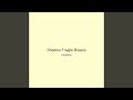 Shadow Fragile Breeze