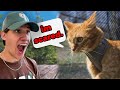 Cats First Time Outdoors (PRICELESS)