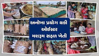 Oyster Mushroom Cultivation: આ ખેડૂતે અનોખા પ્રયોગ થકી ઓઈસ્ટર મશરૂમ સફળ ખેતી કરી | ZEE 24 Kalak