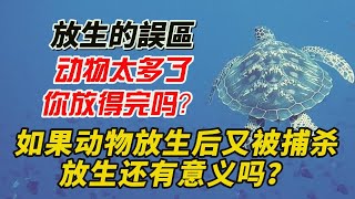 如果动物放生后又被捕杀，放生还有意义吗？动物太多了，你放得完吗？【讓你走出放生的誤區】（印光大師開示）