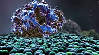 BioVisions: Powering the Cell: Mitochondria (Short) (Official Version)