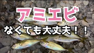 サビキやカゴ釣りで使える！！アミエビを使わない自作コマセでアジを釣る