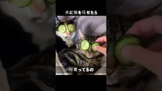 夫に猫を任せたら