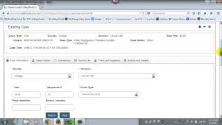 Florida Courts E-Filing Portal - Existing Case - Case Information