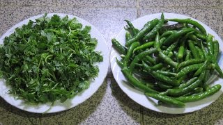 কাঁচা মরিচ ও ধনে পাতা সংরক্ষণ পদ্ধতি | Green Chillies and Coriander Leaves Preservation