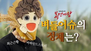 Go With The Flow - 'Flowsik on King of Masked Singer? 플로우식이 복면가왕?'