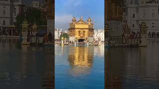 Golden Temple #amritsar #darbarsahib #waheguru #waheguruji #punjab #shorts #viral