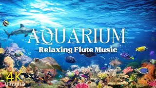 3 Hours of Stunning Aquarium Relax Music, Beautiful Aquarium Coral Reef Fish, Relaxing Ocean Fish