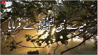12 Rabi ul Awwal (Shan-e-Mustafa ﷺ) | Islamic Whatsapp Status | Molana Tariq Jameel Quotes
