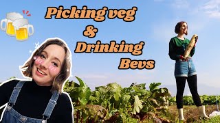 Farming in Fukushima (and I drink too much!) 🍻