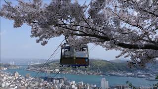 尾道　尾道水道と桜　千光寺　20190408