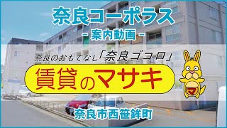 【ルームツアー】奈良コーポラス｜奈良市近鉄奈良駅賃貸｜賃貸のマサキ｜Japanese Room Tour｜000089-2-18