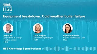 Equipment breakdown: Cold weather boiler failure