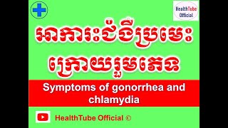 អាការះជំងឺប្រមេះក្រោយរួមភេទl Symptoms of gonorrhea & chlamydia l ចំណេះដឹងសុខភាពl HealthTube Official