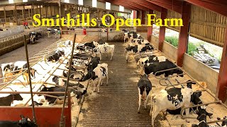 A Visit To Smithills Open Farm, Bolton, Greater Manchester