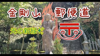 初心者が行く山歩き。金剛山郵便道