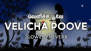 Velicha Poove 《Slowed+Reverb》 | Ethir Neechal| Sivakarthikeyan, Priya | Tamil Lofi | ReverbsFeelings