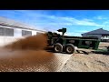 Manure Experiment & Barn Ready For Robots