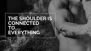The shoulder is connected to everything!!