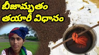 బీజామృతం తయారీ విధానం | Seeds preparation method for natural Farming | Farmer Srivanitha mythili