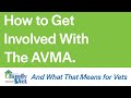 How to Get Involved with the AVMA (American Veterinary Medical Association)