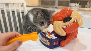 猫と番犬ガオガオで遊んでみたらまさかの展開になりましたw