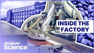 How Is Chocolate Made? The Science Of Chocolate Making | Inside Cadbury | Absolute Science