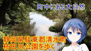 【すずきつづみ】静岡県駿東郡清水町柿田川公園を歩く【散策】