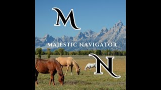 Welcome to Majestic Navigator