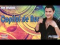 Sorin Copilul De Aur Haide Zi Manele Vechi