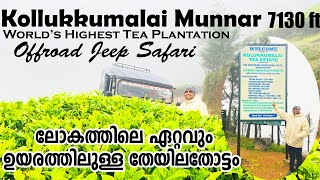 Kollukkumalai Offroad Jeep Safari | Worlds Highest Tea Plantation | Kollukkumalai Tiger Face Rock